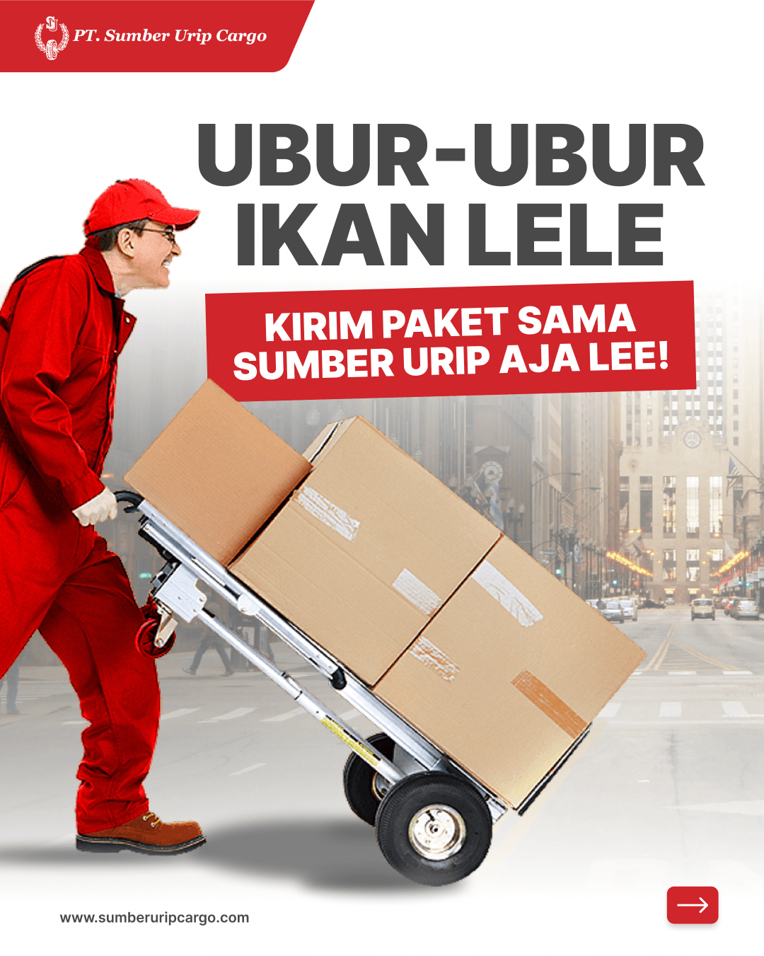 Ubur-ubur ikan lele, kirim paket sama SUC aja lee!