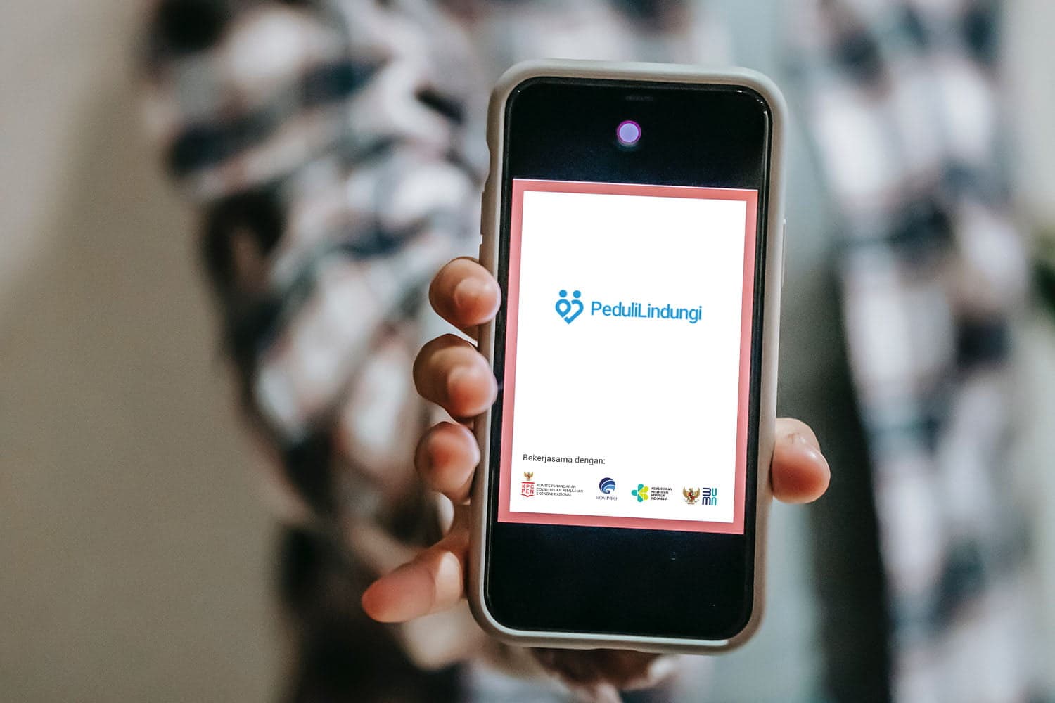 Ini Cara Baca Status Warna PeduliLindungi yang Diperbarui